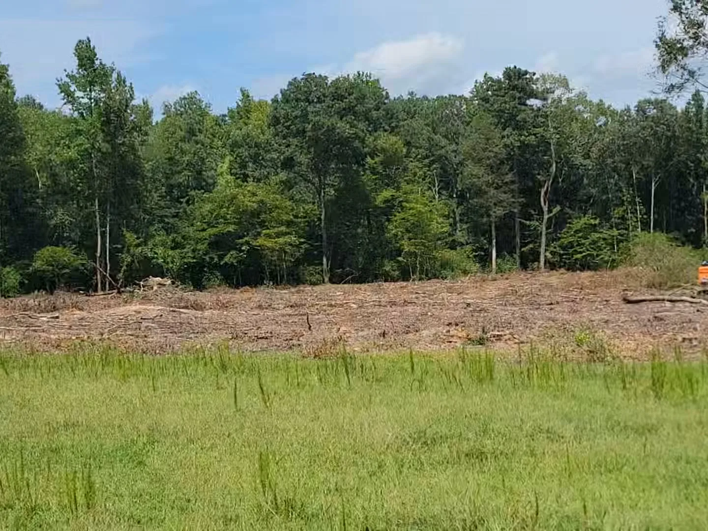 Before: five overgrown acres
