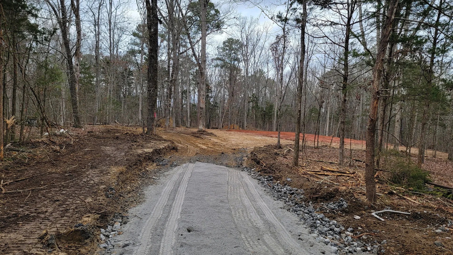 Gravel driveway cut through a stand of pines