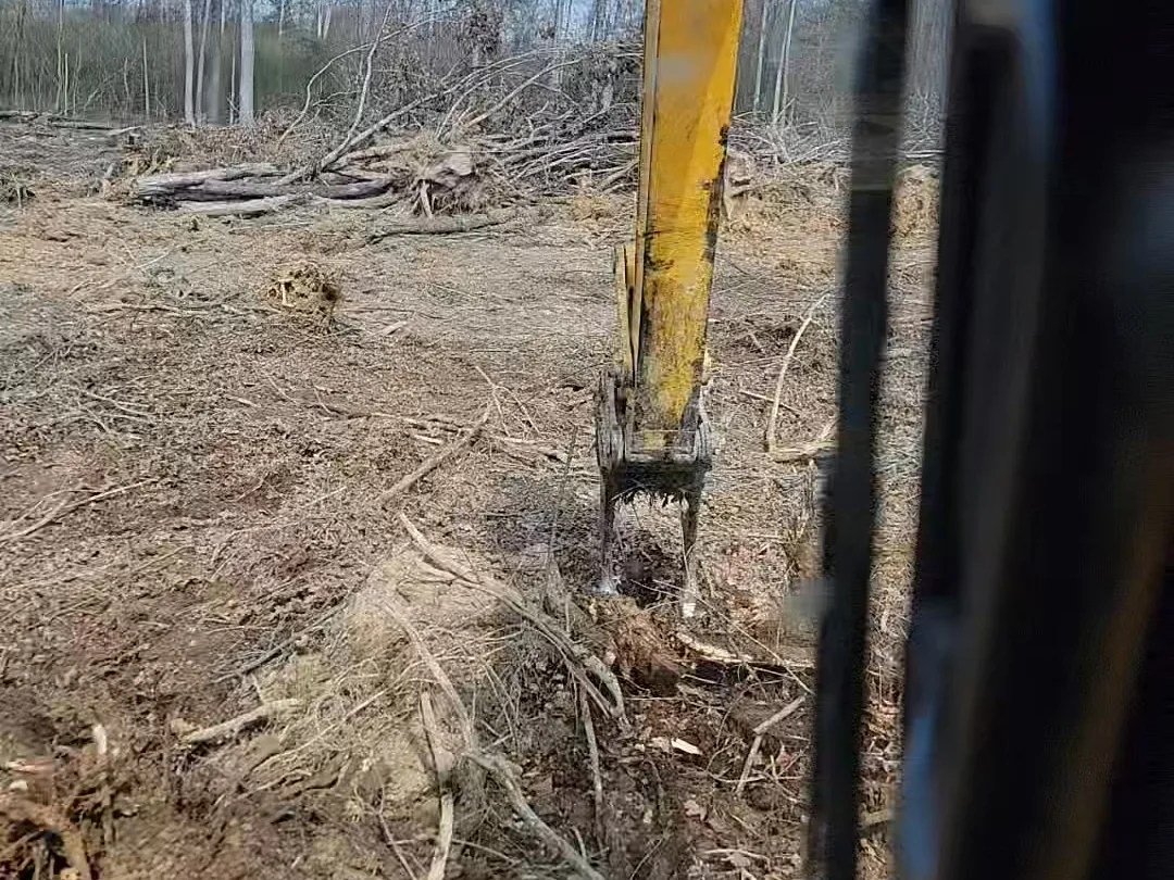 Hardwood stumps pulled with the trackhoe