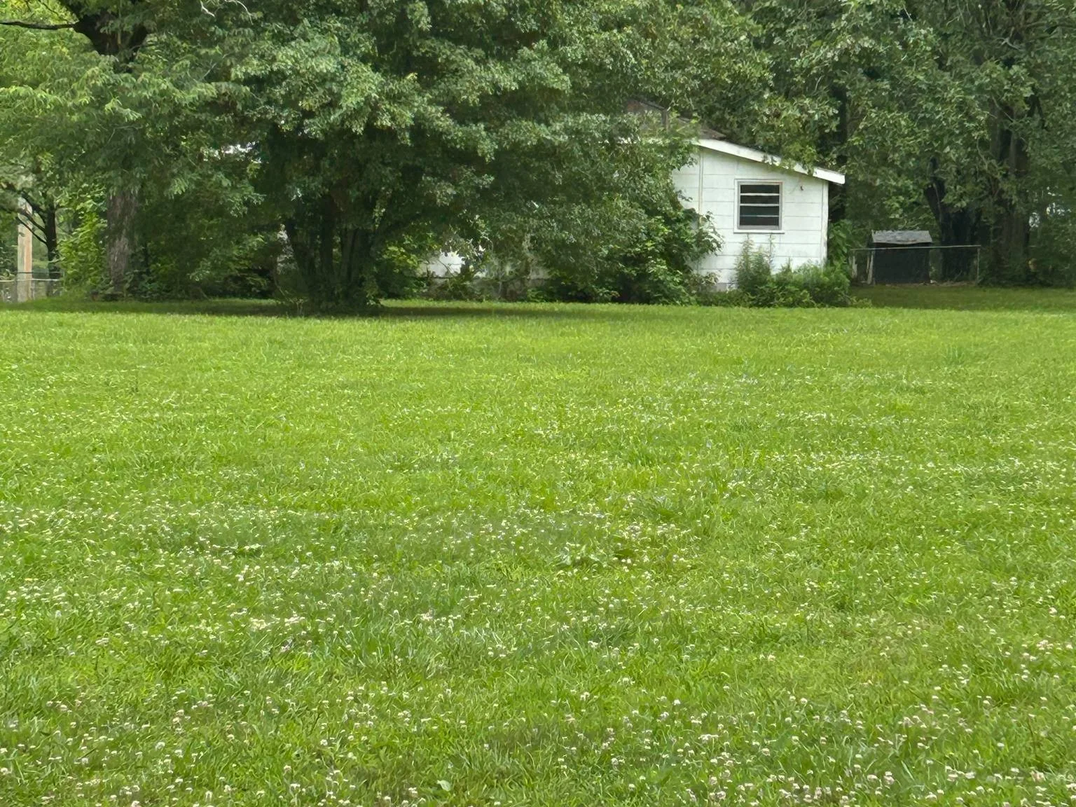 The lot after an eight hour demolition, like the house was never there