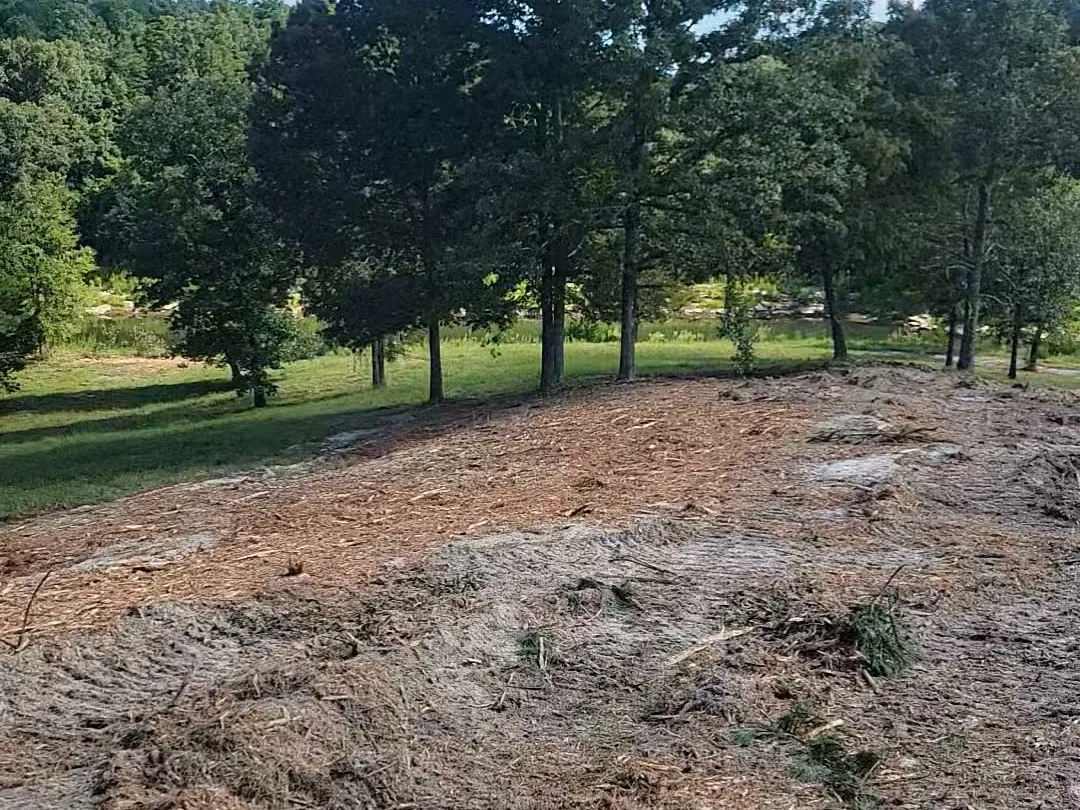 Freshly mulched ground on a clearing job