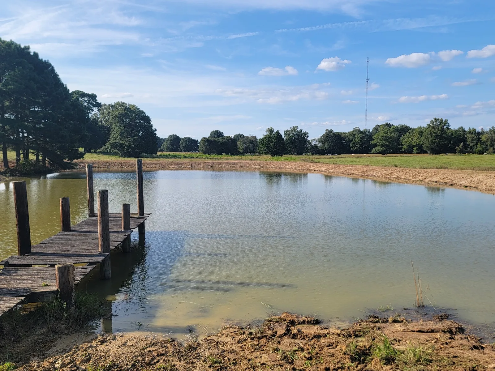 Old pond restored and holding water