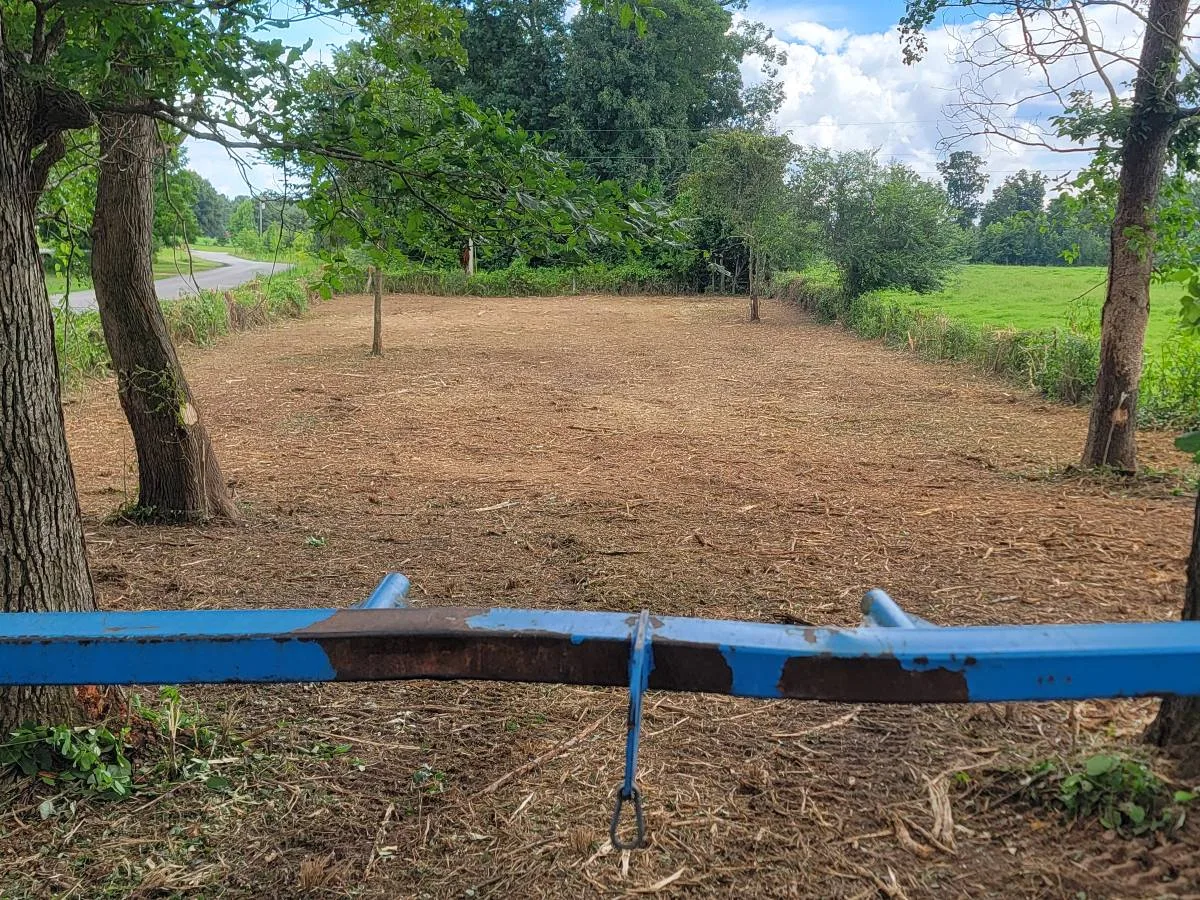 Overgrown pasture mulched back to usable ground, seen from the cab