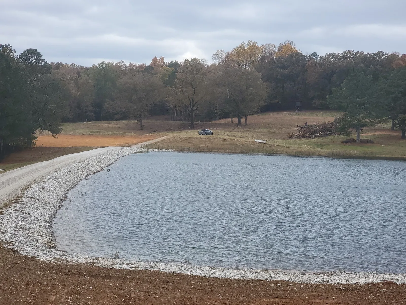 Pond bank cleared and dressed with the water back in view