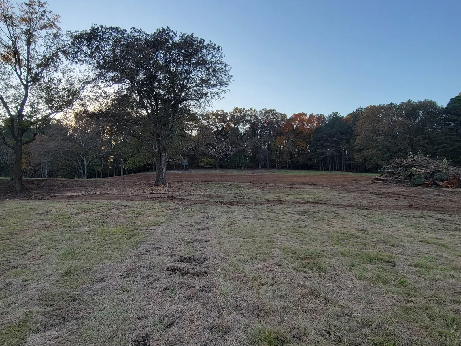 Lake lot after the trees came out